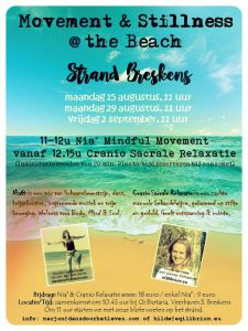 movement & stilness beach flyer